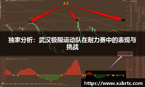 独家分析：武汉极限运动队在耐力赛中的表现与挑战